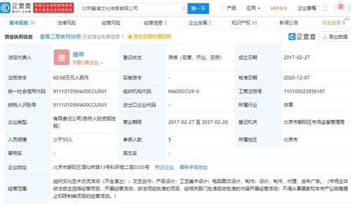 电脑图文设计制作 从概念到成品的数字化艺术之旅